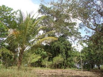 Prime Agricultural Land i Mombasa