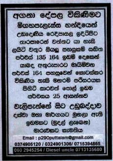 320 Coconut land -UDADENIYA Udadeniya