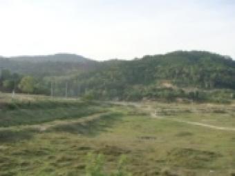 Land for rent/sale in Phuket Bangkok