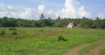2 ha level farm lot Butong Taal,batangas