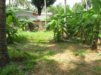 Prime Residential Plot Thrissur