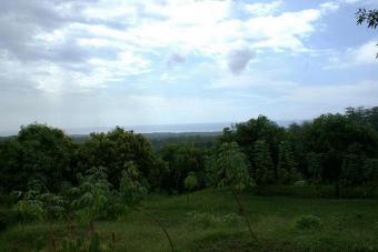 188 are Land near Singaraja Bali   Lovinia