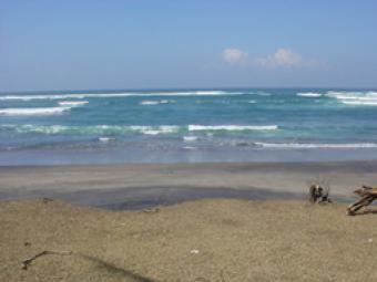 Land Beach Front in Bali Island Bali