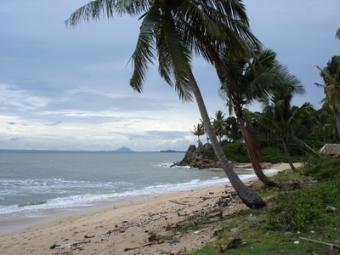 Prime Beach Front Land Ko Lanta Yai