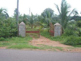 Prime Lands in Srikakulam Vizag Vizianagaram