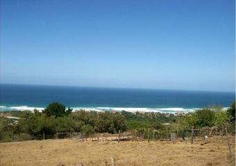 One in a million!!! Garden Route   Wilderness