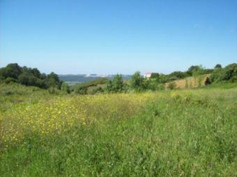 Plot of Land Nazar&eacute;
