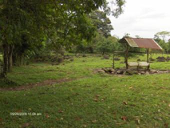 Finca en Guapiles centro Guapiles