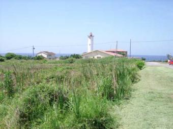 Port Edward Kwa Zulu Natal Port Edward Kwa Zulu Natal