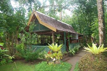 3.5-hectare highway resort Bobon