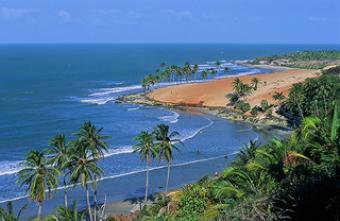 Guaranteed 8% per month increase North East Coast