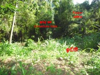 Land of Sale- 0777-741840 Kandy