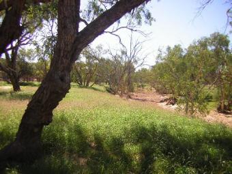 farm Longreach