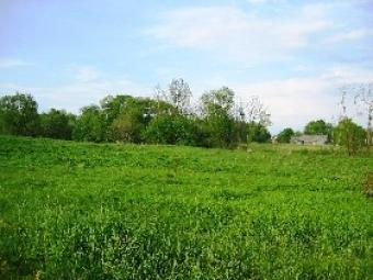 LAND PLOT FOR SALE Vilnius District