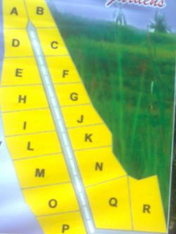 HOUSE PLOTS AT LOWEST PRICES Thiruvankulam,ernakulam