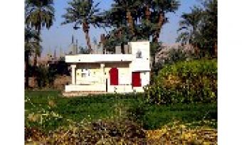 New  Villa on the Luxor Westbank Luxor