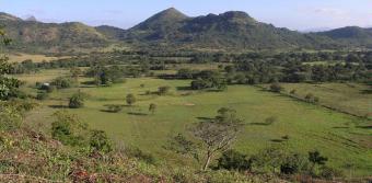 Beauteful farm in Panama Cocle