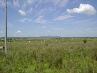 Wonderful Range Asuncion