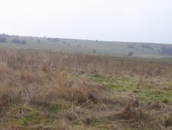 Plot of land - VERY CHEAP Detva