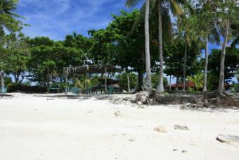 RUSH! ISLAND FOR SALE! Cebu City