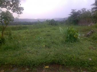 lands for sale Eheliyagoda