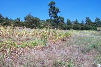 Kerarapon Plot Nairobi