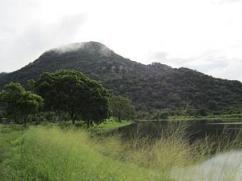 my land for sale Anuradhapura