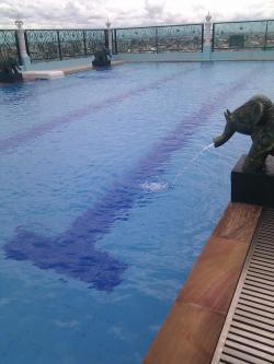 Pool Apartment 4rent in BKK1 Phnom Penh