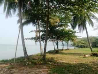 Land for sales  10 Rai (4 acre) Trat