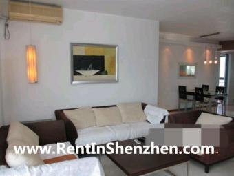 OCT new building/beautiful natur Shenzhen