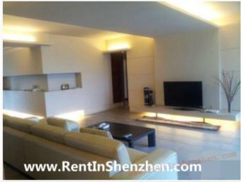 NanShan Apartment Rent/beautiful Shenzhen