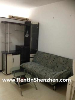 Shenzhen Futian top apartment/46 Shenzhen
