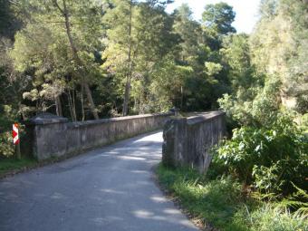86 Ha indiginous forest S Africa George