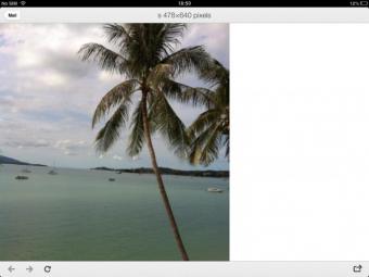 Koh Samui Land for sale Surat Thani