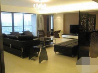 Shenzhen Futian top apartment/In Shenzhen