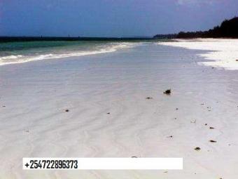 7 Acre Beach Plot Diani Beach