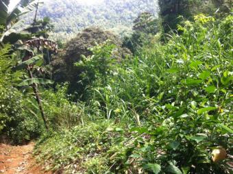 BALANA - 1 Block OF LAND Kadugannawa
