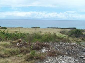 FORTESQUE PLANTATION St Philip