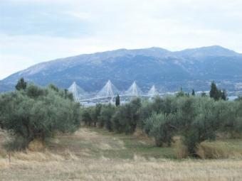 LAND 5.000m2 IN ANTIRRIO Nafpaktos