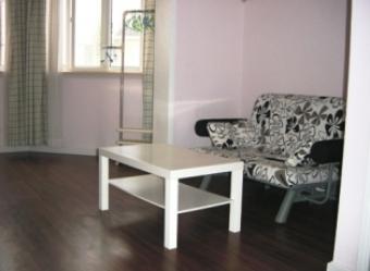 Cozy Apartment in Center Shanghai