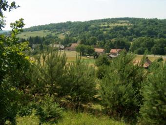 Nice area near Austrian board Felsoszolnok