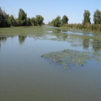 Danube Delta Investment 736 Ha C.a. Rosetti