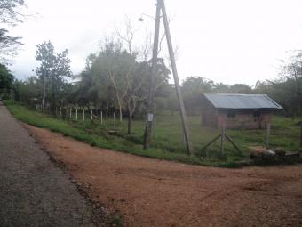 land & paddyfield for quick sale Polonnaruwa   Welikanda