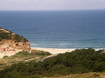 5 year Guaranteed Rental Reggio Calabria