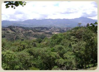 Mountain View Lot in Cartago CR Cartago