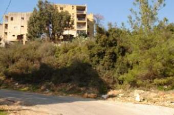 Plot in Monteverde for Sale Monterverde El Metn