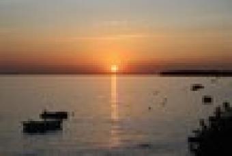 Zadar Ko�ino Ko�ino