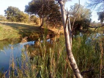 BEAUTIFUL & RICH FARM LAND FOR S Livingstone