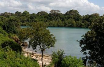 3 acres kwale Fungu fuel Area Nyali