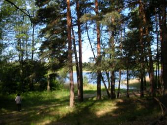 Beautiful plot of land Riga